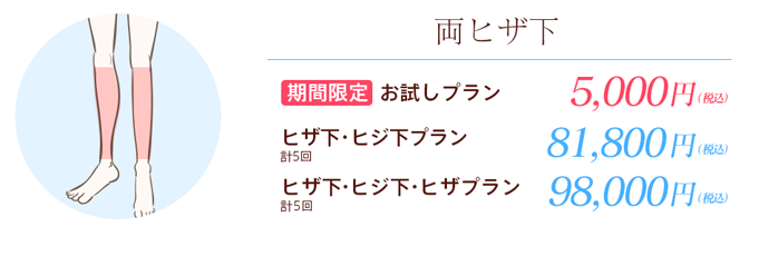 のりかえ割